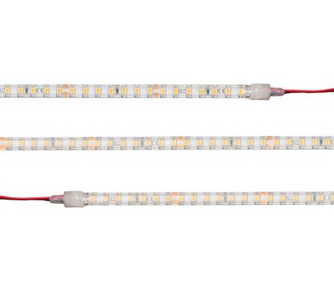 TLG S11064