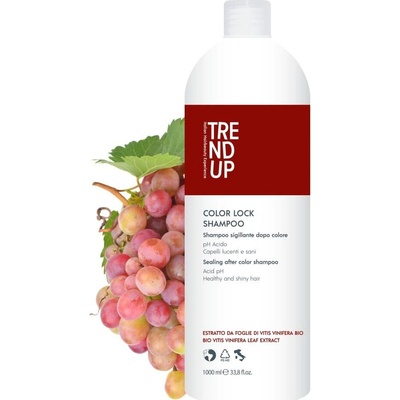 Trend up Color Lock Šampon pro barvené vlasy antioxidační s kyselým pH 1000 ml