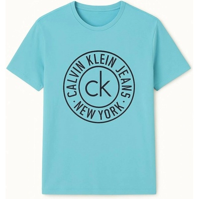 Calvin Klein pánské tričko krátkým rukávem Iconic Logo