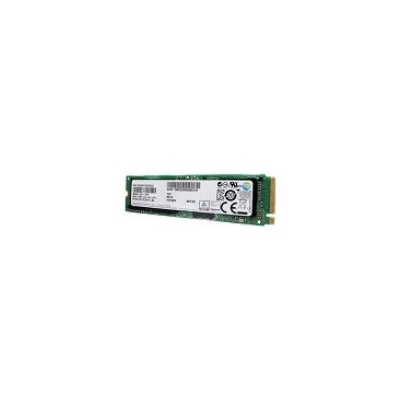 Lenovo SSD 256GB, 4XB0N10297
