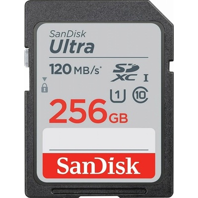 SanDisk SDXC 256 GB SDSDUN4-256G-GN6IN