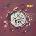 MC 5 - High Time Clear LP