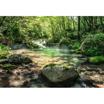 Komar Papírová fototapeta Riverbed rozměry 368 x 254 cm