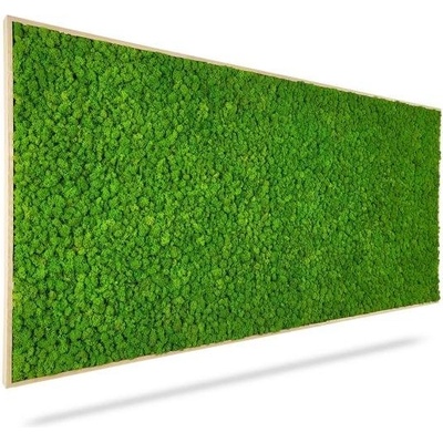Machový obraz LIŠAJNÍK mono GREEN, 140x60cm, drevený biely rám