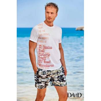 Image 1 of DAVID Тениска Arkos B20 DAVID