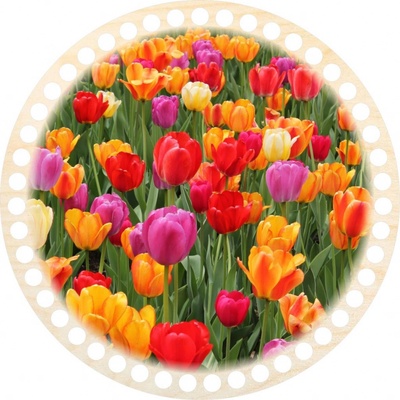 Woody Crafts Dno/víko - kruh 20 cm, Tulipány