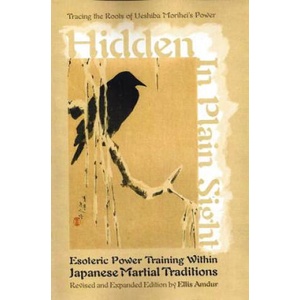 Hidden in Plain Sight | Ellis Amdur (ISBN: 9781937439323)