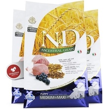 N&D dog LG Puppy Medium & maxi lamb & blueberry 2,5 kg