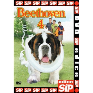 DM discont Бетовен 4 - dvd (035574)