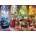 EUROGRAPHICS - Puzzle Bonito: The Four Seasons - 1 000 piese