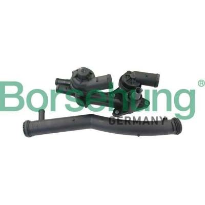 Termostat, chladivo Borsehung B19086