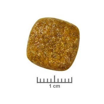 Royal Canin Veterinary Diet Dog Renal 7 kg