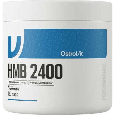 OstroVit HMB 2400 mg, 120 Capsules