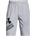 Under Armour UA Prototype 2.0 Logo Shorts
