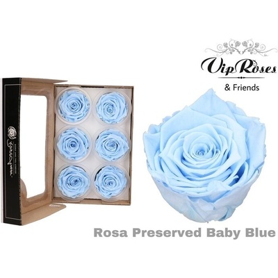 Стабилизирана вечна роза VIP Baby Blue