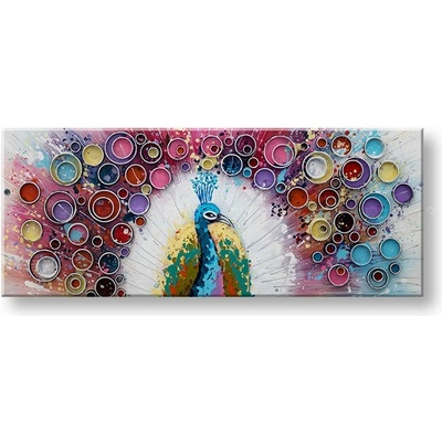 Maľovaný obraz na stenu PÁV 100x40 cm - 100×40 cm / Klasický 2 cm