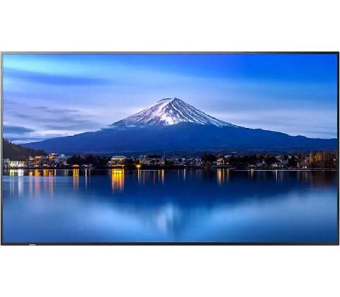 NEC MultiSync P556