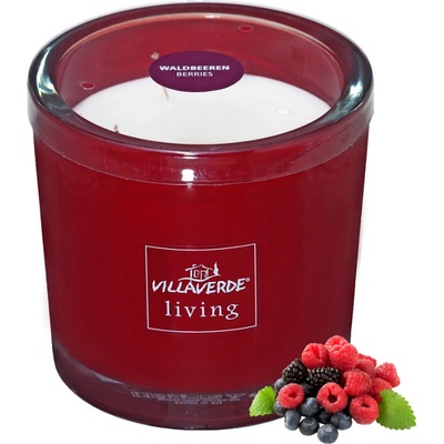 Villaverde Lesní ovoce 1,6 kg