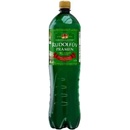 Mariánskolázeňský Rudolfův pramen 1500 ml