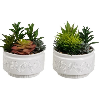 Umelé rastliny v súprave 2 ks (výška 19 cm) Cactus – Casa Selección