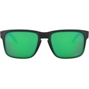 Image 1 of Oakley Holbrook OO9102-E4