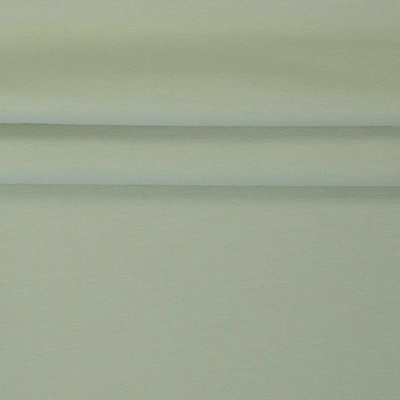 Fabriccando Teplákovina jednobarevná nepočesaná - šalvějová 0110