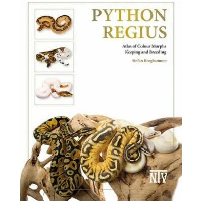 Python regius | Stefan Broghammer