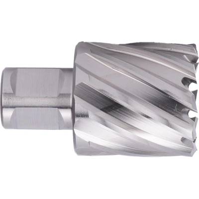 ABSE N-HS-W19-0380025