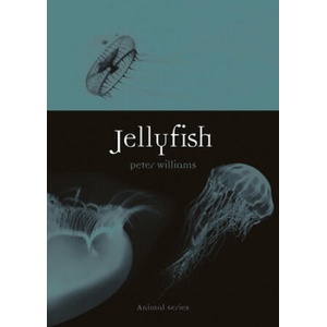 Jellyfish (2020)