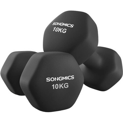 SONGMICS SYL110B01 2 x 10 kg