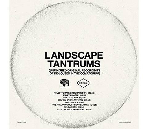 MARS VOLTA - LANDSCAPE LP