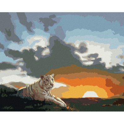 Zuty Malování podle čísel BÍLÝ TYGR A ZÁPAD SLUNCE D. RUSTY RUST