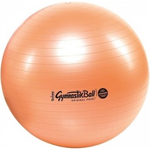 Ledragomma GymBall Maxafe 42 cm
