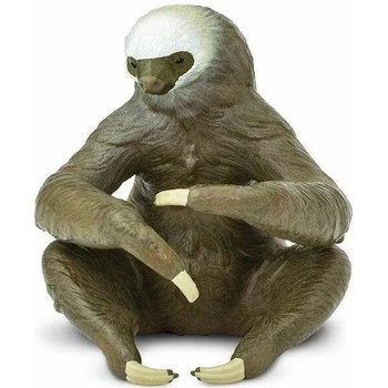 Safari Two-Toed Sloth