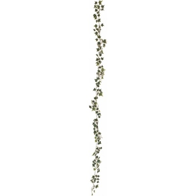 Girlanda z Holandského břečťanu, 180 cm