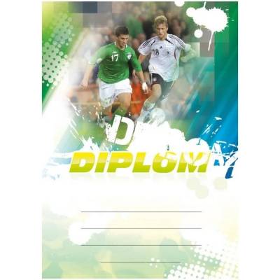 Diplom 6602