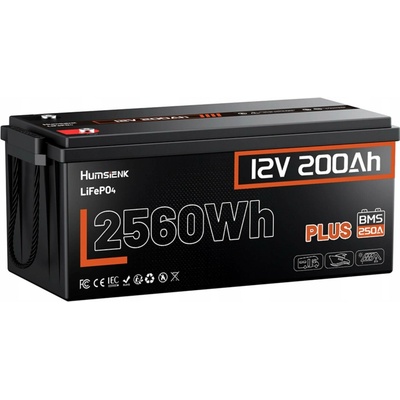 Humsienk LiFePO4 12V 200Ah 250A BMS
