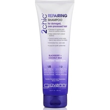 Giovanni Repairing Shampoo 250 ml