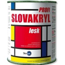 Slovlak Profi Lesk 0,75 kg bílá