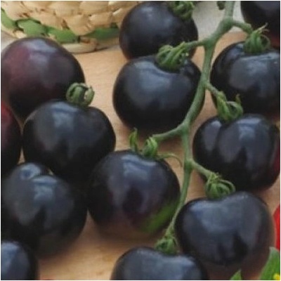 Paradajka tyčková čierna Blackball - Solanum lycopersicum - predaj semien - 20 ks