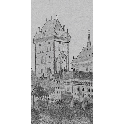 Dimex S-306 vliesová fototapeta na zeď Karlstejn paint black rozměry 110 x 220 cm