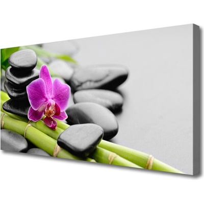 Obraz Canvas Bambus kvet kamene umenie 100x50 cm