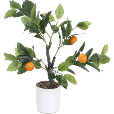 IBERGARDEN Dekorativní pomerančovník, 58 cm vícebarevný