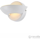 Globo 76003