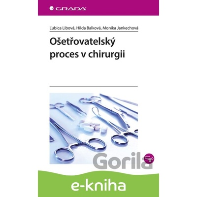 Ošetřovatelský proces v chirurgii - Ľubica Libová, Hilda Balková, Monika Jankechová