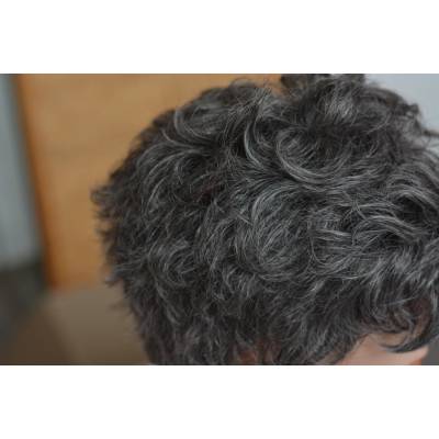 Exclusive wigs by Lubo Paruka Wienna