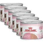 Royal Canin Babycat Instinctive консерва за кърмещи котки и котенца 6 x 195 гр
