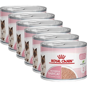 Royal Canin Babycat Instinctive консерва за кърмещи котки и котенца 6 x 195 гр