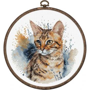 Luca-S Бенгалска котка - гоблен по схема bc210
