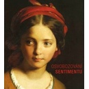 Osvobozování sentimentu. Podoby středoevropského romantiismu a biedermaieru - Adam Hnojil - Eminent